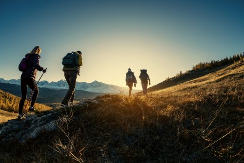 Group of young hikers walks in mountains at sunset time
